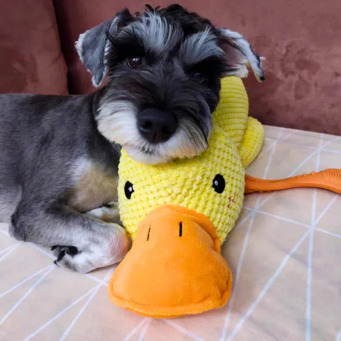 Wuff Duck - Juego relajante para perros